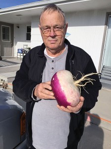 Big turnip