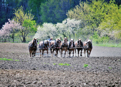 Spring work