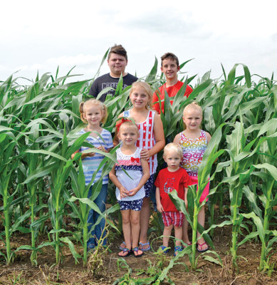 Better than knee high