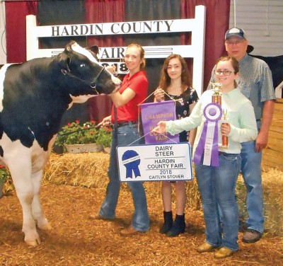 Champ dairy steer sold