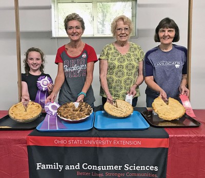 Schooling the experts