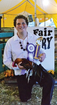 Champion rooster