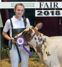 Earning junior champion Ayrshire honors at Wednesday’s dairy show was Callie Cromer, daughter of Amanda and Nathan Cromer. She attends Ridgemont School and is a member of the Hardin County Dairy Club.
