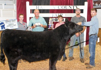 Brian Searson, son of Fred and Heather Searson, took home the award for grand champion market beef born and raised in Hardin County during Wednesday’s show. Brian attends Kenton High School and is a member of the Lynn Valley Farmers. The breeder for the prize-winning animal was Dunson Farms.