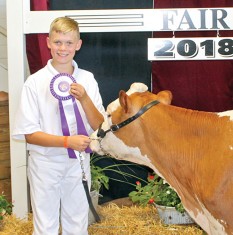 Ethan Lawrence, son of Don and Beth Lawrence, earned junior champion Guernsey honors during Wednesday’s dairy show. He is home schooled and is a member of the Liberty Belles and Boys 4-H club.