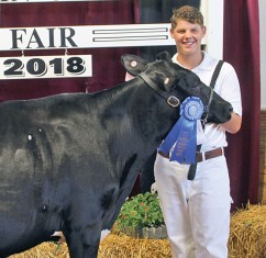 Earning first place in the intermediate class of dairy showmanship on Wednesday was Alex Weaver, son of DeWayne and Melissa Weaver. He is home schooled and a member of the Goshen Youth 4-H club.