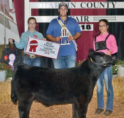 Sammie Unger of Kenton FFA exhibited the reserve champion beef feeder during the junior fair show on Thursday. Sammie is the daughter of Kevin and Marcia Unger of Kenton. 