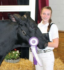 Callie Cromer, daughter of Amanda and Nathan Cromer, earned senior grand champion Holstein honors during Wednesday’s dairy show. She attends Ridgemont School and is a member of the Hardin County Dairy Club.
