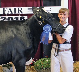 Gabrielle Weaver, daughter of DeWayne and Melissa Weaver, earned first place in senior dairy showmanship during Wednesday’s dairy show. Gabrielle, who is home schooled, is a member of the Goshen Youth 4-H club.