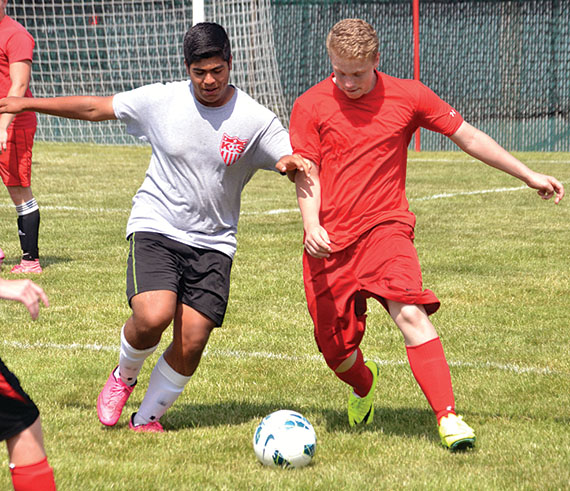 Wildcats battle for title