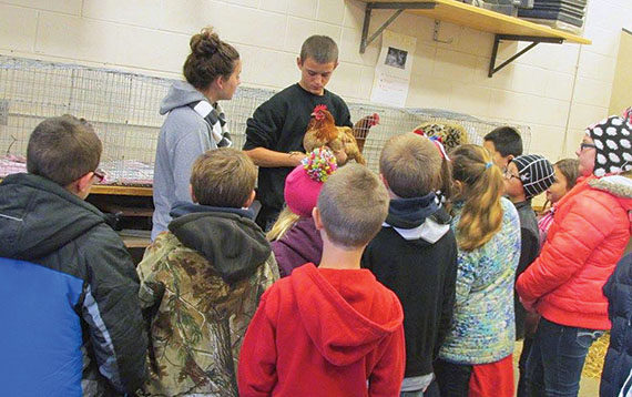 Checking out chicken