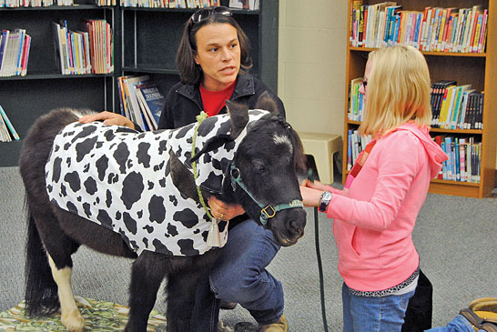 Ollie the “cow” featured