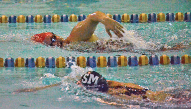 Sectional swim
