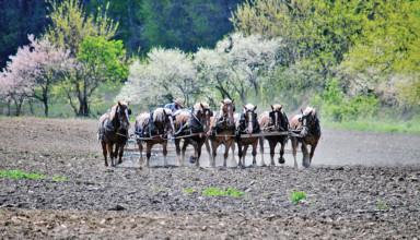 Spring work