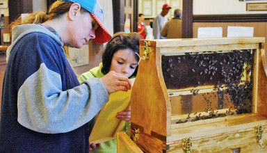 Sami Rettig and her mom search for the queen bee during Arbor Day activities in Ada.