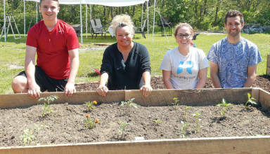 Looking for gardeners