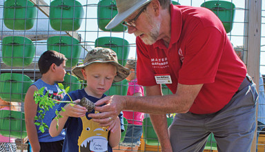 Gardening tips featured