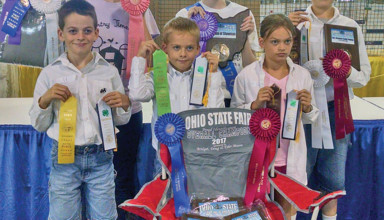 Success with rabbits