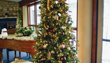 Christmas tree at the Inn at ONU