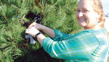 Preparing for festival featured