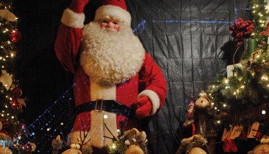 Window Wonderland featured