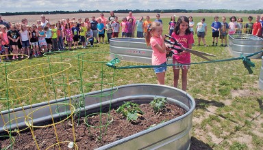 R'mont school garden