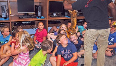 Pookee the honeybear