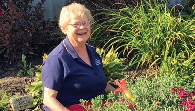 Preparing fair garden featured