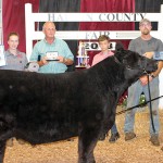 Born and raised beef