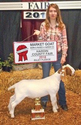 Born and raised goats