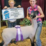 Champion breeding ewe