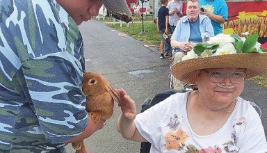 New friend at the fair featured