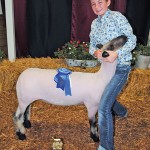 Intermediate showman