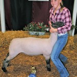Junior showman
