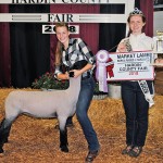 Reserve champion