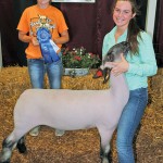 Senior showman