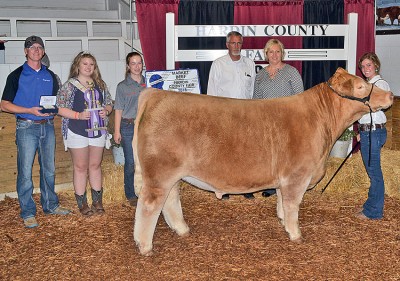 Champion steer