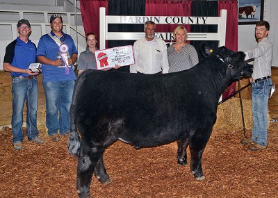 Reserve steer