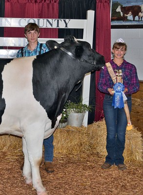 Top dairy steer showman