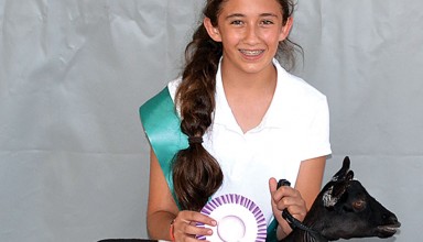 Reserve Nigerian junior doe featured