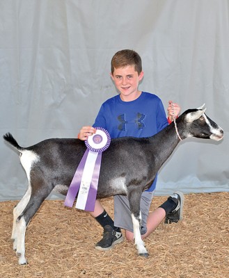 Champion junior alpine