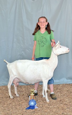 Junior showmanship
