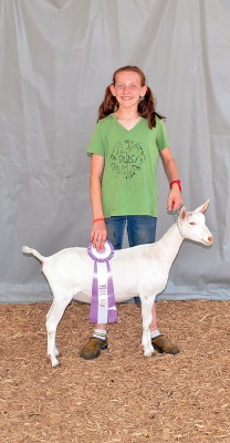 Reserve junior saanen