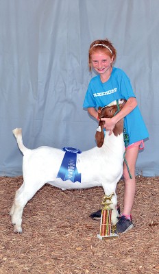 Beginning showmanship