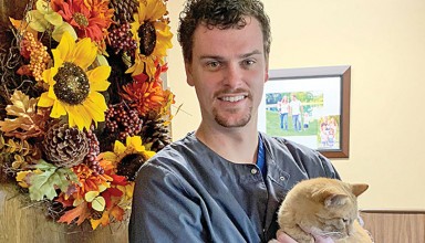 A helping paw featured