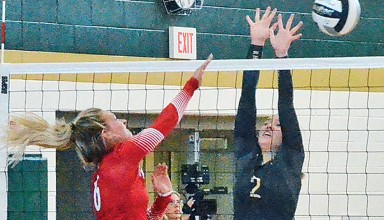 Patrolling the net featured