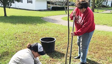 Mt. Victory tree planting