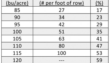 Wheat Stands News Release
