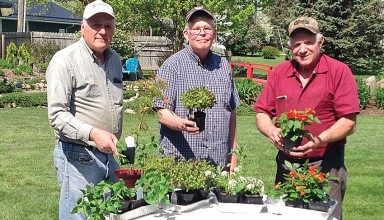 Ready for sale featured