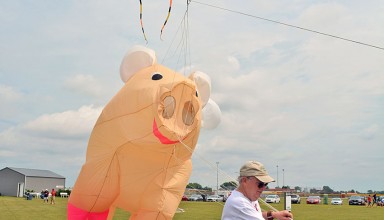 When pigs fly (almost)